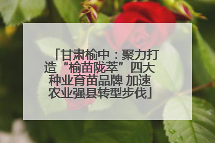 甘肃榆中：聚力打造“榆苗陇萃”四大种业育苗品牌 加速农业强县转型步伐