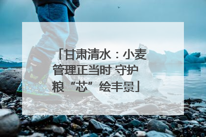 甘肃清水：小麦管理正当时 守护粮“芯”绘丰景