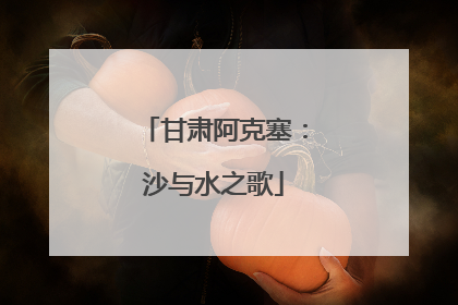 甘肃阿克塞：沙与水之歌