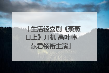 生活轻喜剧《蒸蒸日上》开机 高叶韩东君领衔主演
