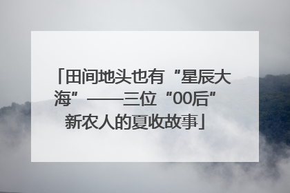 田间地头也有“星辰大海”——三位“00后”新农人的夏收故事