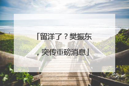 留洋了？樊振东，突传重磅消息