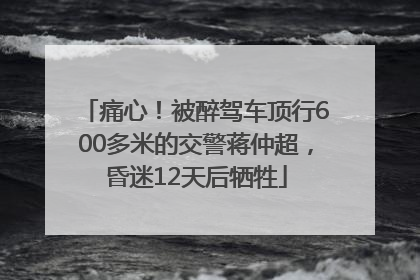 痛心！被醉驾车顶行600多米的交警蒋仲超，昏迷12天后牺牲