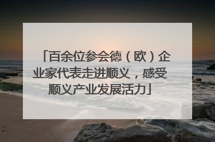 百余位参会德（欧）企业家代表走进顺义，感受顺义产业发展活力