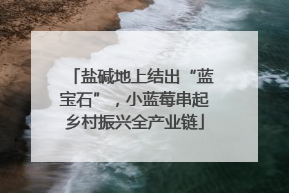 盐碱地上结出“蓝宝石”，小蓝莓串起乡村振兴全产业链