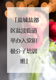 盐城盐都区盐渎街道举办入党积极分子培训班