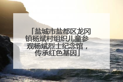 盐城市盐都区龙冈镇杨斌村组织儿童参观杨斌烈士纪念馆，传承红色基因