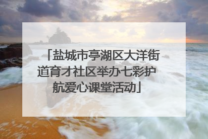 盐城市亭湖区大洋街道育才社区举办七彩护航爱心课堂活动