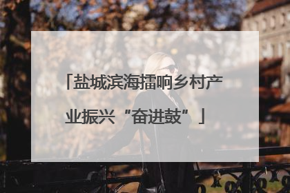 盐城滨海擂响乡村产业振兴“奋进鼓”