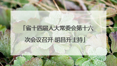 省十四届人大常委会第十六次会议召开 胡昌升主持
