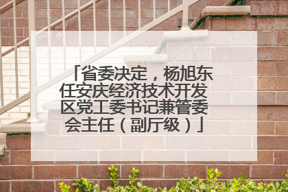 省委决定，杨旭东任安庆经济技术开发区党工委书记兼管委会主任（副厅级）