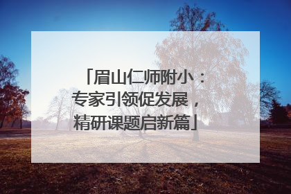 眉山仁师附小：专家引领促发展，精研课题启新篇