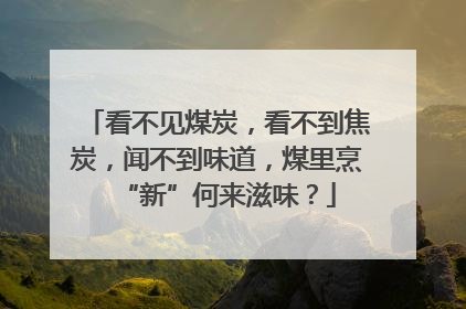 看不见煤炭，看不到焦炭，闻不到味道，煤里烹“新”何来滋味？