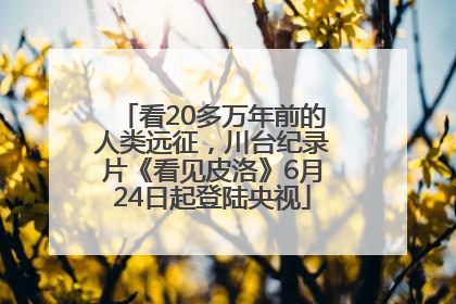 看20多万年前的人类远征，川台纪录片《看见皮洛》6月24日起登陆央视
