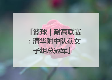 篮球｜耐高联赛：清华附中队获女子组总冠军
