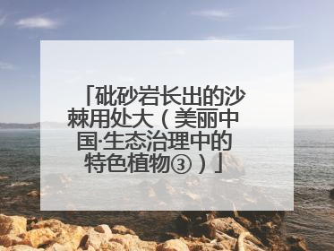 砒砂岩长出的沙棘用处大（美丽中国·生态治理中的特色植物③）