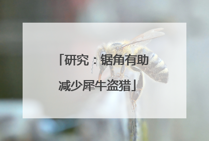 研究：锯角有助减少犀牛盗猎