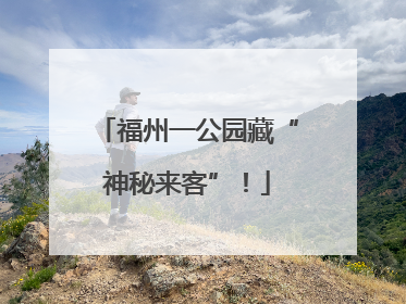 福州一公园藏“神秘来客”！
