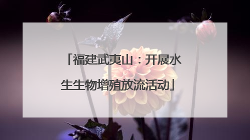 福建武夷山：开展水生生物增殖放流活动