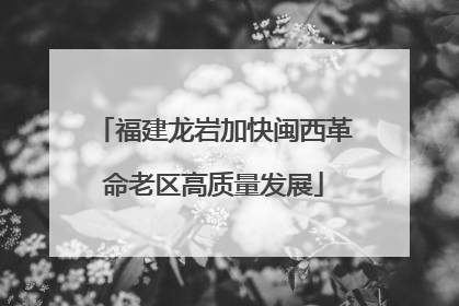 福建龙岩加快闽西革命老区高质量发展