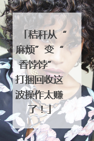 秸秆从“麻烦”变“香饽饽” 打捆回收这波操作太赚了！