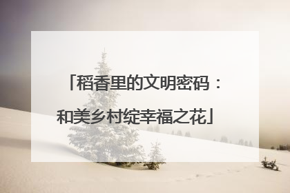 稻香里的文明密码：和美乡村绽幸福之花