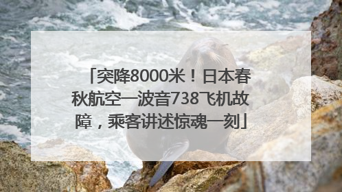 突降8000米！日本春秋航空一波音738飞机故障，乘客讲述惊魂一刻