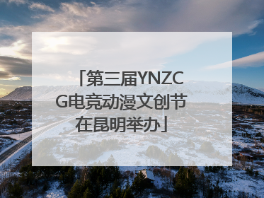 第三届YNZCG电竞动漫文创节在昆明举办