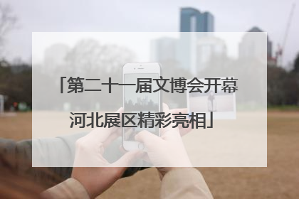 第二十一届文博会开幕 河北展区精彩亮相