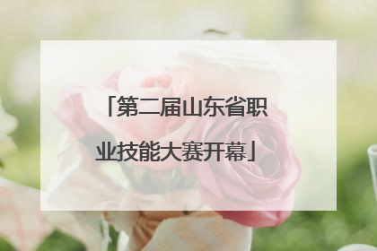 第二届山东省职业技能大赛开幕