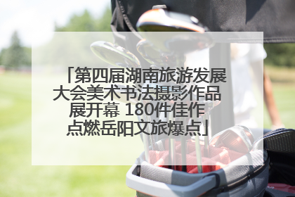 第四届湖南旅游发展大会美术书法摄影作品展开幕 180件佳作点燃岳阳文旅爆点