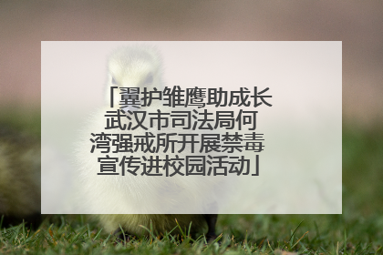 翼护雏鹰助成长 武汉市司法局何湾强戒所开展禁毒宣传进校园活动