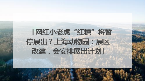 网红小老虎“红糖”将暂停展出？上海动物园：展区改建，会安排展出计划