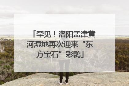 罕见！洛阳孟津黄河湿地再次迎来“东方宝石”彩鹮