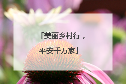 美丽乡村行，平安千万家
