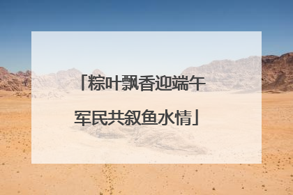 粽叶飘香迎端午 军民共叙鱼水情