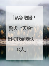 紧急增援！警犬“天狼”出动找到走失老人