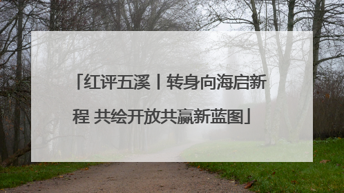红评五溪丨转身向海启新程 共绘开放共赢新蓝图