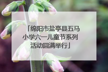 绵阳市盐亭县五马小学六一儿童节系列活动圆满举行