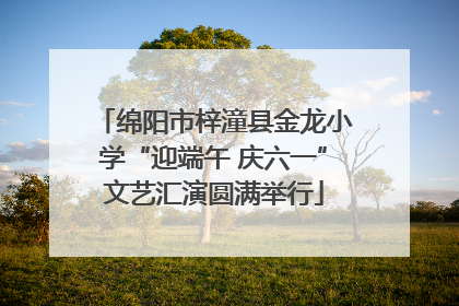 绵阳市梓潼县金龙小学“迎端午 庆六一”文艺汇演圆满举行