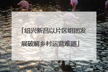绍兴新昌以片区组团发展破解乡村运营难题