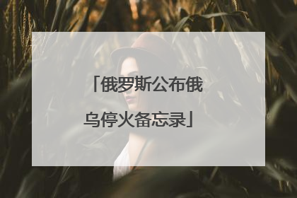 俄罗斯公布俄乌停火备忘录
