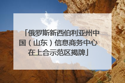 俄罗斯新西伯利亚州中国（山东）信息商务中心在上合示范区揭牌