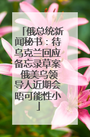 俄总统新闻秘书：待乌克兰回应备忘录草案 俄美乌领导人近期会晤可能性小