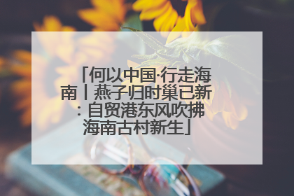 何以中国·行走海南丨燕子归时巢已新：自贸港东风吹拂 海南古村新生