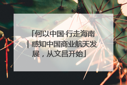 何以中国·行走海南｜感知中国商业航天发展，从文昌开始