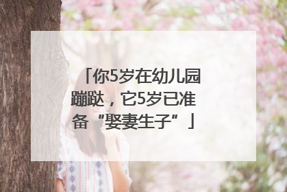 你5岁在幼儿园蹦跶，它5岁已准备“娶妻生子”
