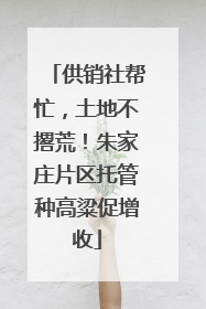 供销社帮忙，土地不撂荒！朱家庄片区托管种高粱促增收