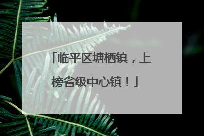 临平区塘栖镇，上榜省级中心镇！