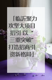 临沂聚力攻坚大项目招引 以“三重突破”打造招商引资新格局
